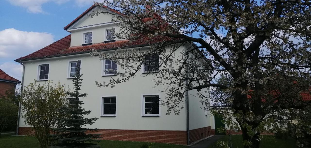 Ferienwohnungen Kleinraeschen Grossraeschen Exteriör bild